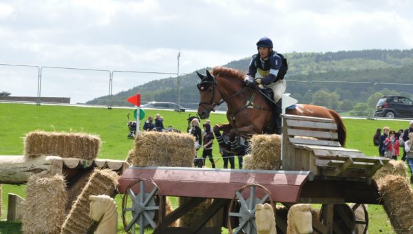 Cédric Bibard : retour à Chatsworth