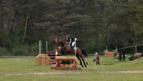 Journées cross gratuites à Fontainebleau