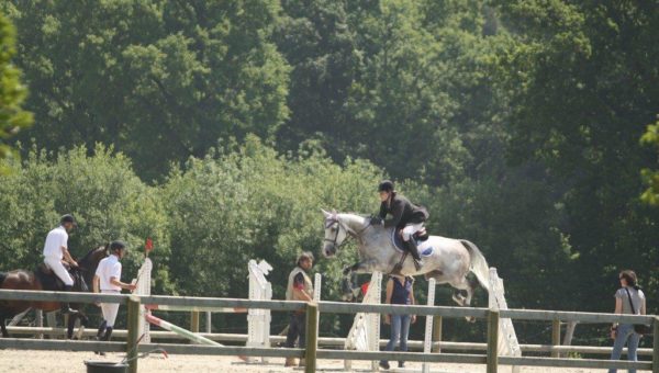 Journées : la détente du cheval sur les trois tests