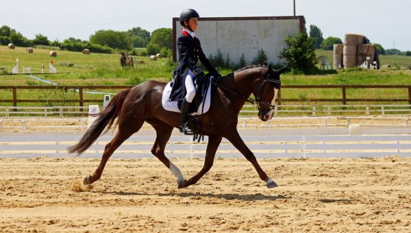 Mettray : Quentin Gonzalez s’impose dans l’As Poney