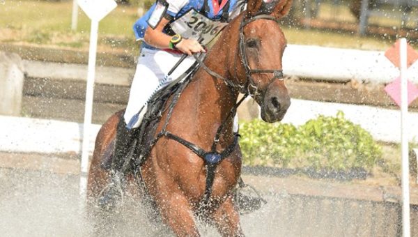 Jau Dignac : Uzelle des Etiers, meilleure 7 ans Amateur