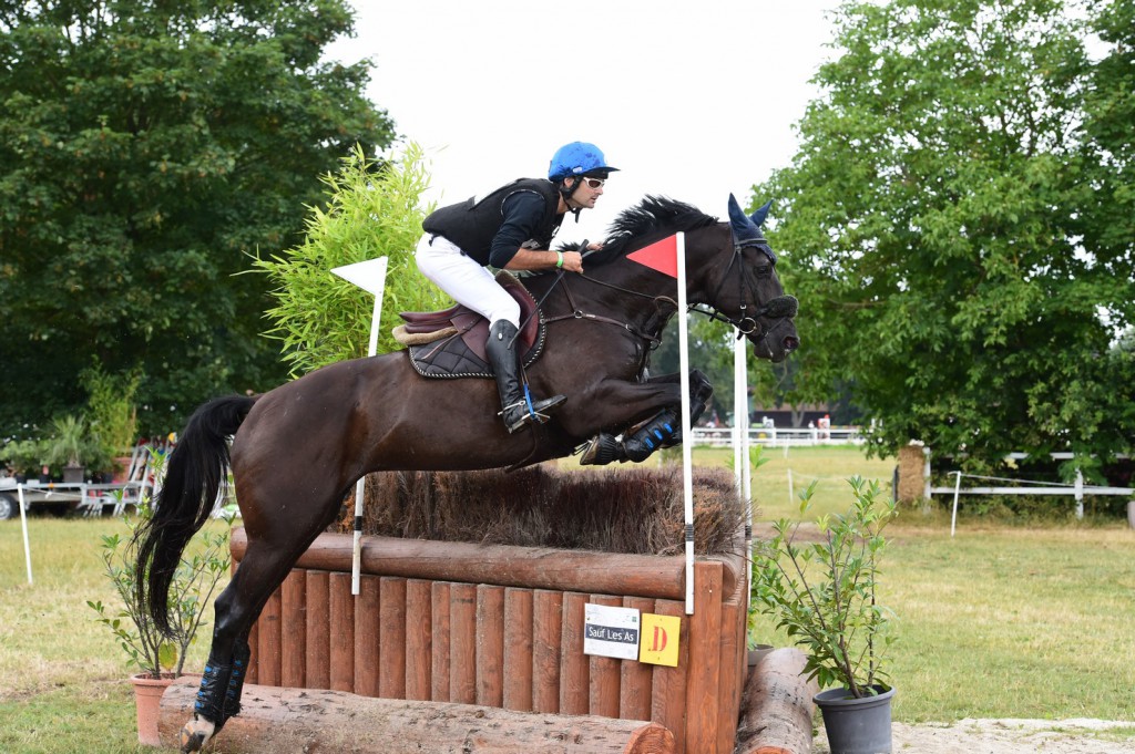 Les sélectionnés pour le Mondial du Lion 2015