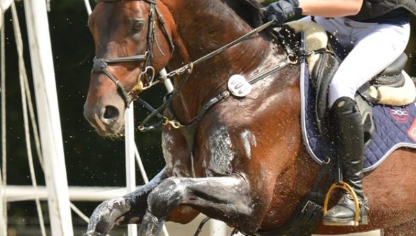 Jardy : la Belgique dans les 1*