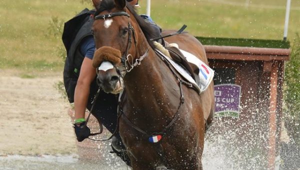Récente analyse des chutes sur le cross