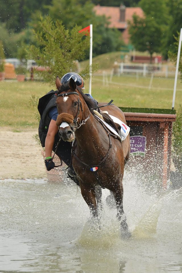 Récente analyse des chutes sur le cross