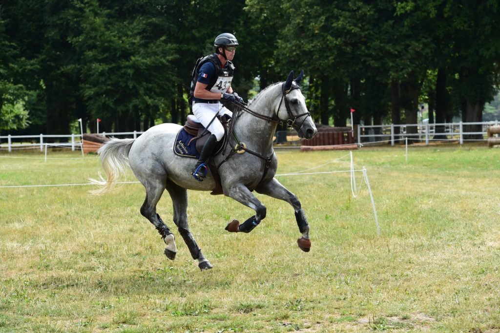 Gatcombe : Tom et Upsilon sur le podium !