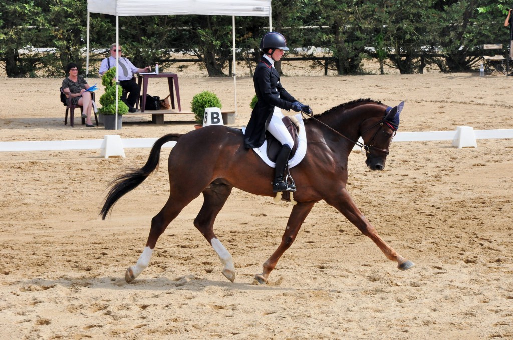 Bazoges : domination Belge au dressage !