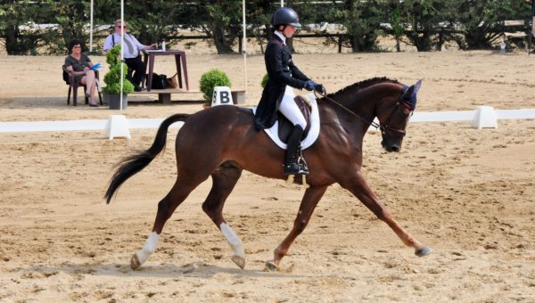 Bazoges : domination Belge au dressage !