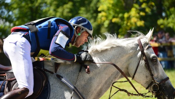 Cadeau du Roi se retire du haut niveau et change de selle