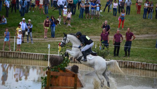 Gilles Bordes : une belle saison avec Orion de Cavalhac