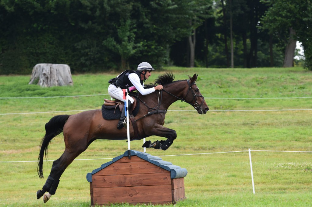 Lionel Guyon et Salta de Cerisy avec un amortisseur ogilvy