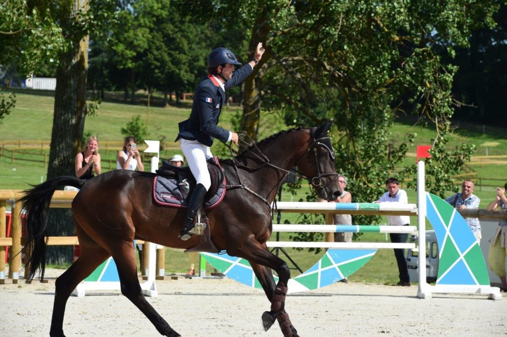 Les chevaux de Mathieu Lemoine