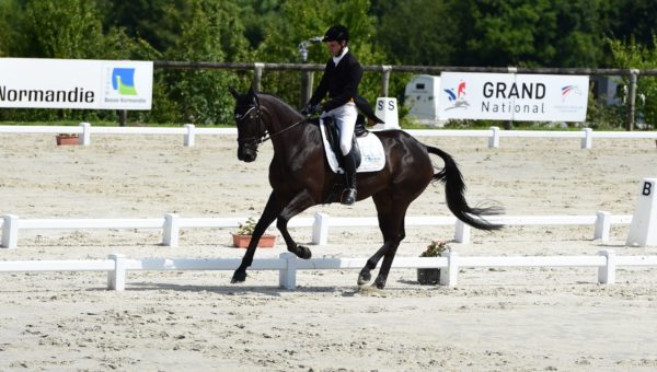 Lion d’Angers : Nicolas Touzaint, les 2 pieds sur le podium provisoire