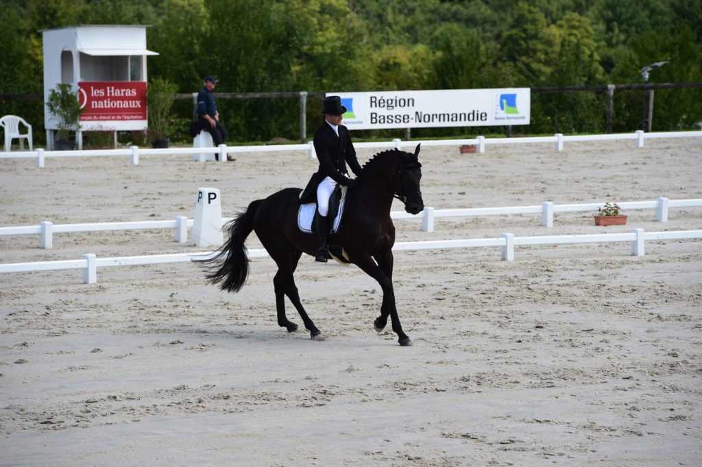 Blenheim : bon départ pour Sidney Dufresne !