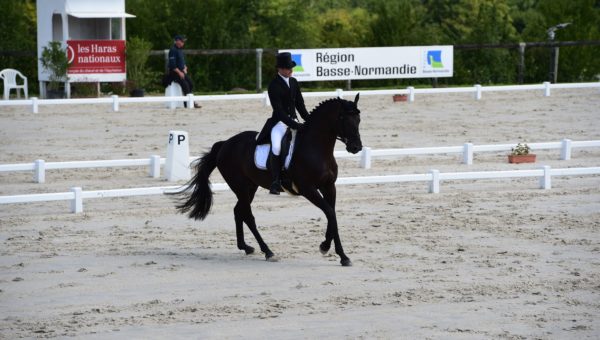 Blenheim : bon départ pour Sidney Dufresne !