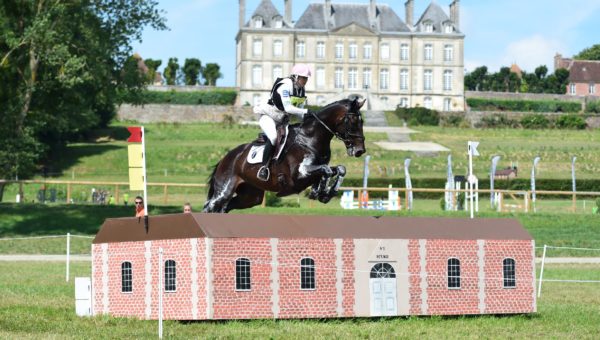 J-3 avant le Grand National au Haras du Pin