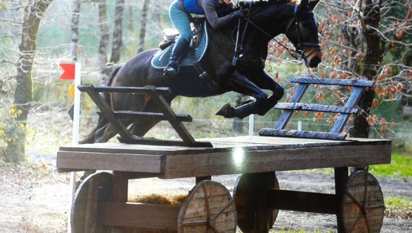 Aurélie et Uluano : en route pour la finale des 7 ans Amateur