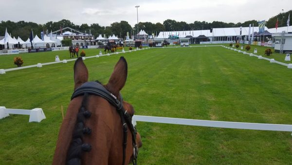 Boekelo : les commentaires des cavaliers et du staff