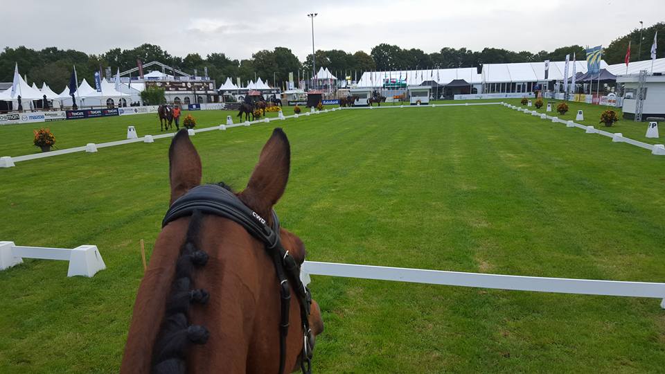 Boekelo : les commentaires des cavaliers et du staff