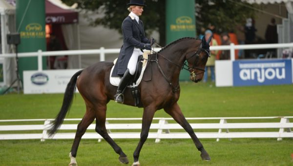 Les Français font plus que bonne figure sur le CCI*** de Bramham