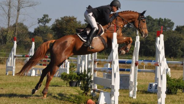 Tartas J4 : François Neveux et Upswing, 2ème du Criterium !