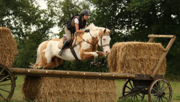 Ottawa, un cheval de western en Complet !