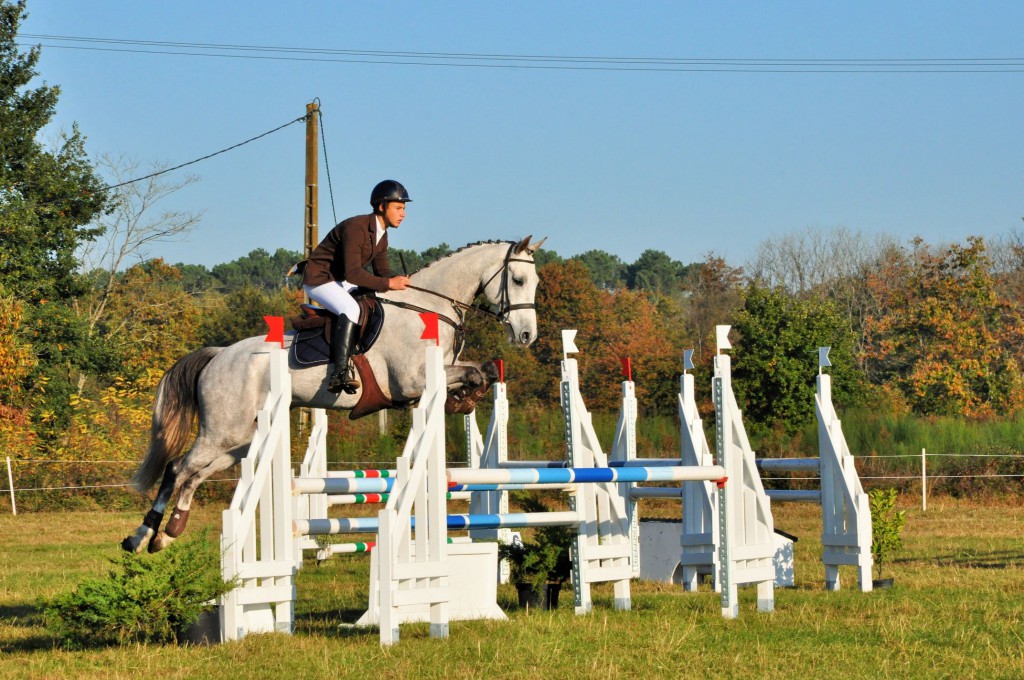 Week-end important pour les 7 ans Amateurs : quatre prix remportés !