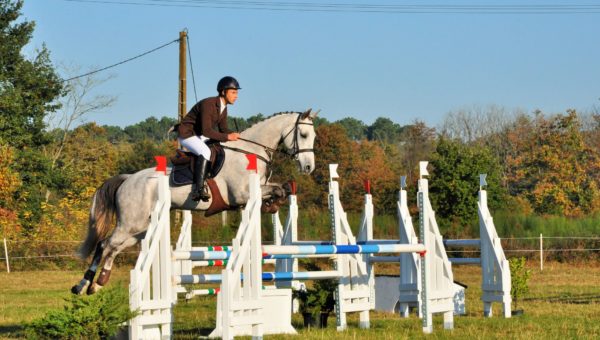 Week-end important pour les 7 ans Amateurs : quatre prix remportés !