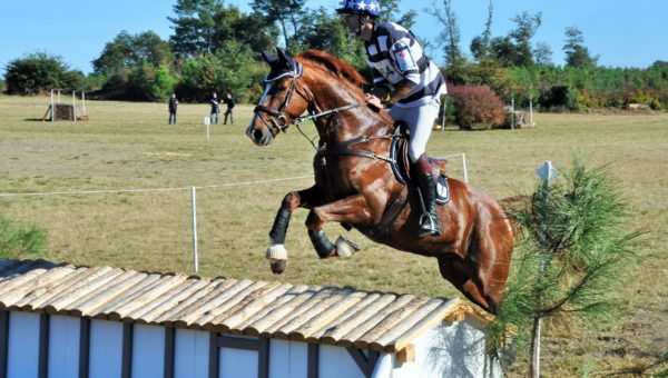 Vernoil : Joli Cœur, premier meilleur 7 ans Amateur 2016 !