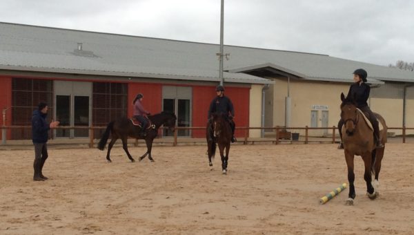 Les stages SHF font le bonheur des jeunes chevaux