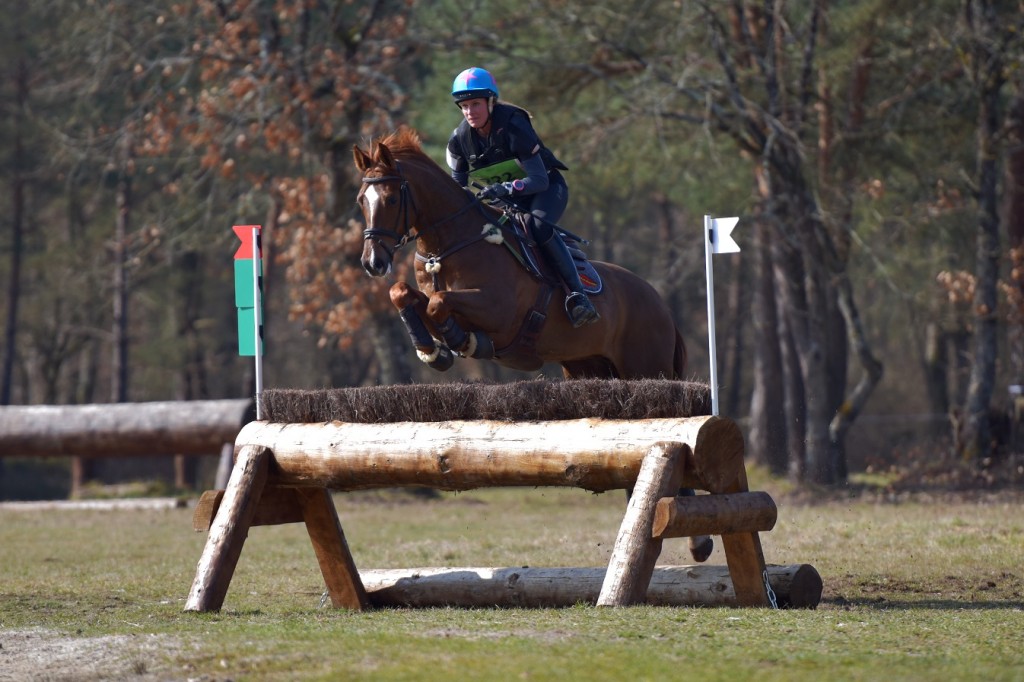 Fontainebleau : Verden d’Hanovre, meilleur 7 ans Amateur