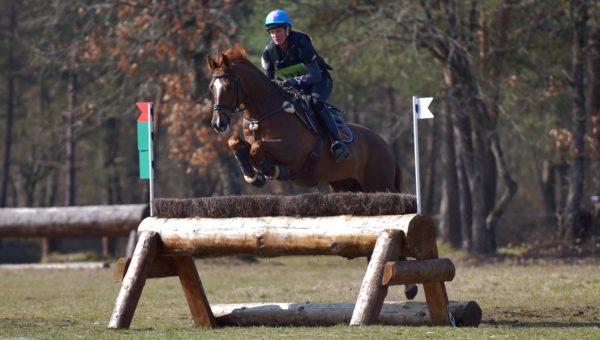 Fontainebleau : Verden d’Hanovre, meilleur 7 ans Amateur