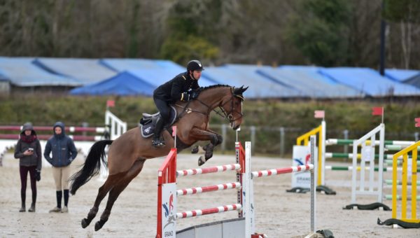 Premiers résultats dans les épreuves intermédiaires du Grand National de Saumur