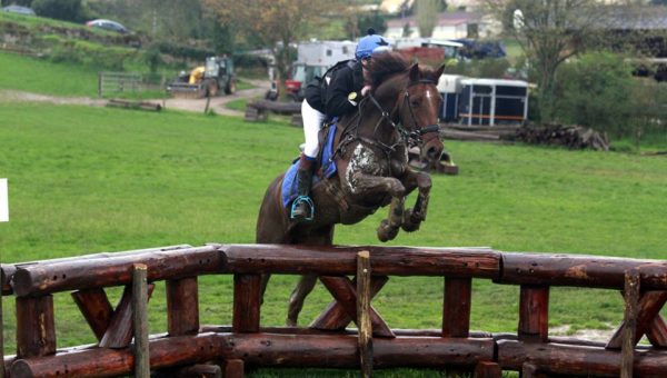 Du Grand Prix Poney à l’international 2* : un programme chargé à Laizé !