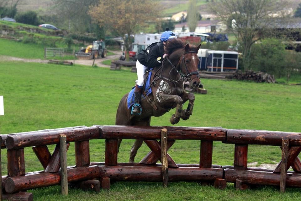 Du Grand Prix Poney à l’international 2* : un programme chargé à Laizé !