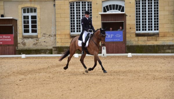 Luhmühlen : Maxime Livio poursuit sur sa lancée!