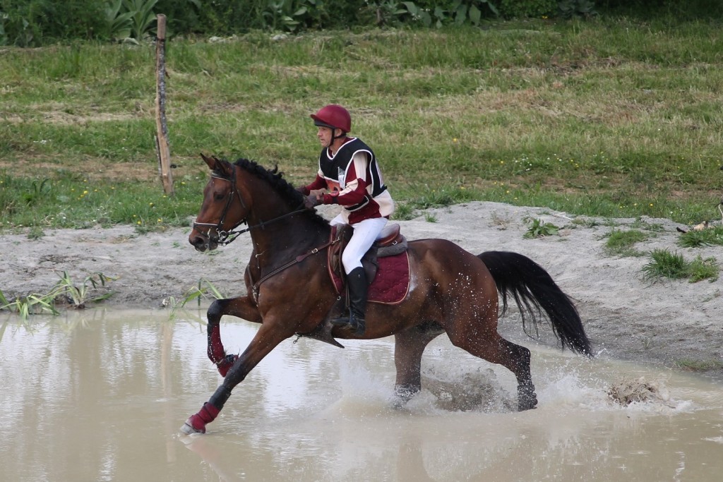 Vaillant du Salvert : meilleur 7 ans Amateur à Mamers