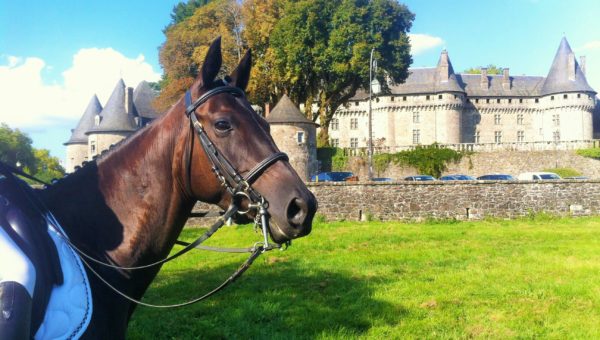 Premier cheval vendu grâce à France Complet !