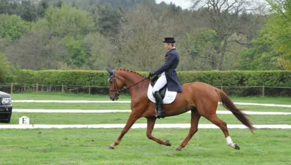 Neewiller : l’équipe de Chatsworth cartonne !