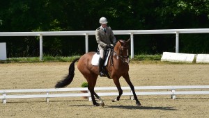 Tryon : Donatien et Pivoine au garde à vous !