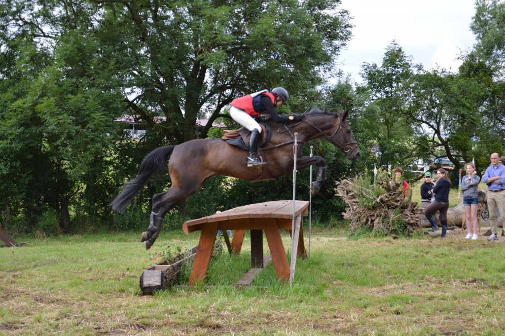 Vicomte de Loume : qualifié pour la finale des 7 ans