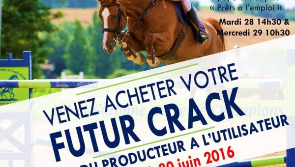 Ventes de Nerac : chevaux « prêts à l’emploi »