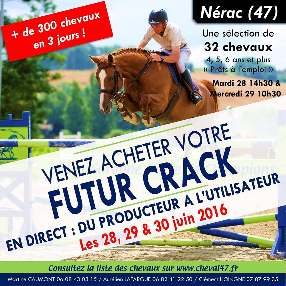 Ventes de Nerac : chevaux « prêts à l’emploi »