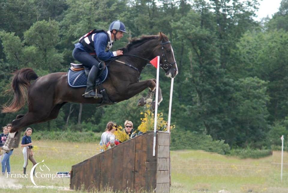 Elvis : meilleur 7 ans Amateur à Pibrac