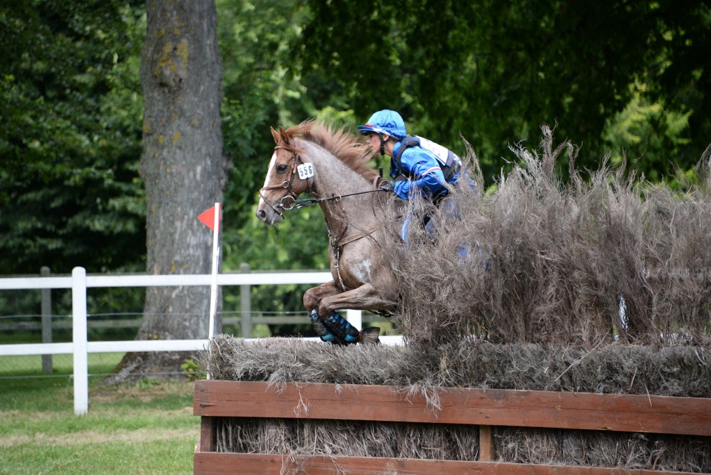 Poneys : la France 2ème après le cross !