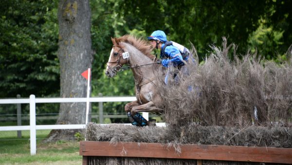 Poneys : la France 2ème après le cross !