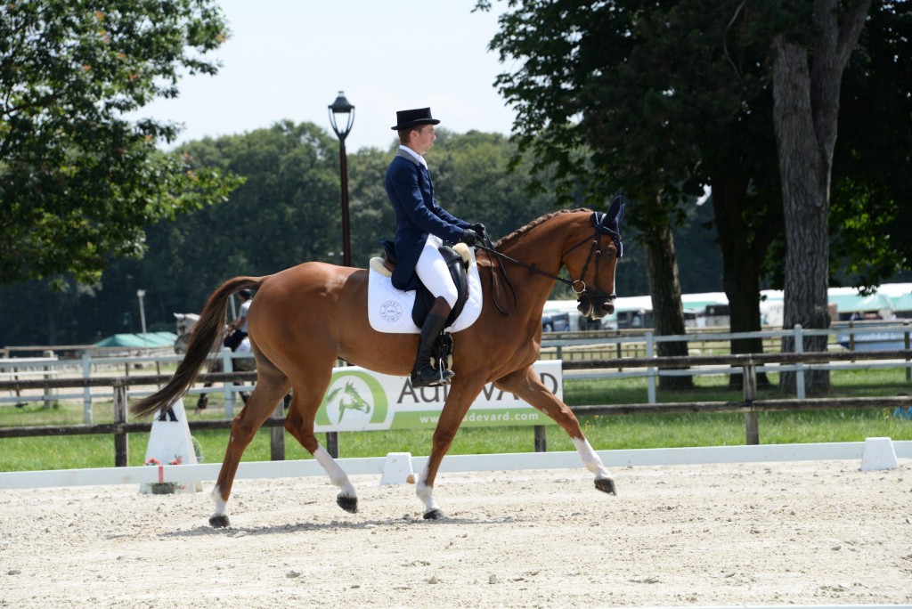 Bramham J2 : 4 jeunes dans le top 5 du dressage !