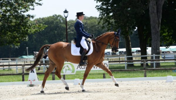 Bramham J2 : 4 jeunes dans le top 5 du dressage !