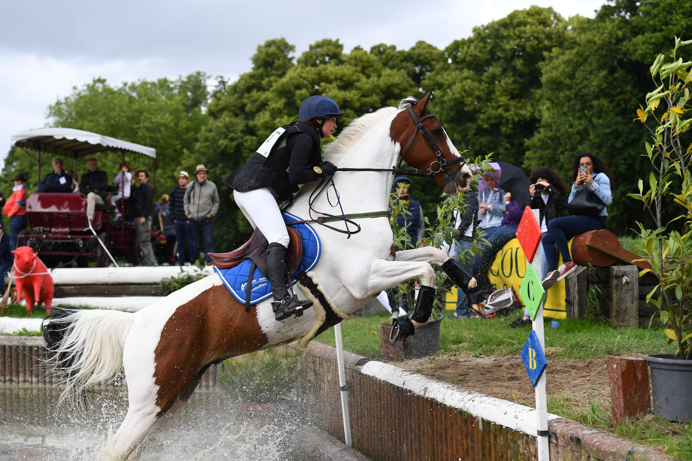 Marie Yolaine Sturken et Saphir de Beaufort - photo Pierre Barki