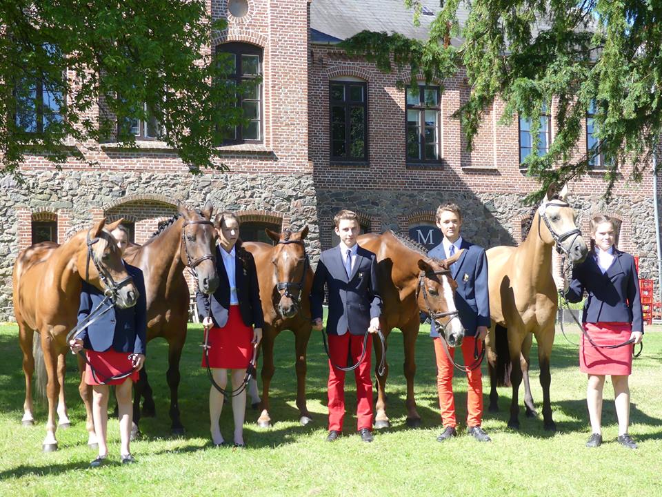 Poneys : la France en bronze